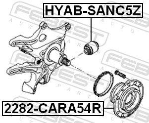 FEBEST 2282-CARA54R Wheel Hub