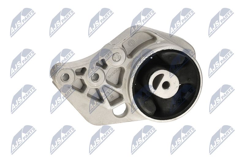 Paigutus, Mootor, NTY ZPS-CH-113