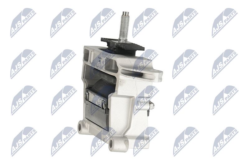 Paigutus, Mootor, NTY ZPS-LR-011