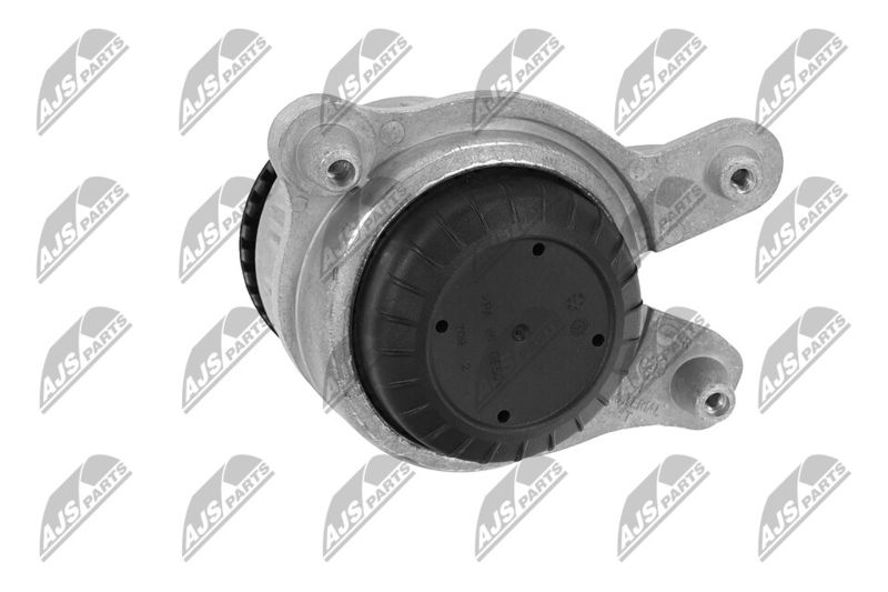 Paigutus, Mootor, NTY ZPS-ME-049