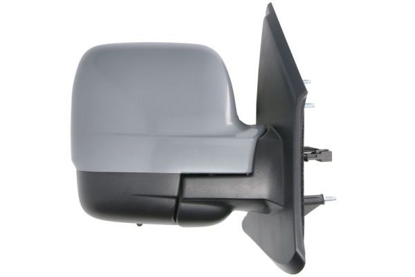 BLIC 5402-09-2476317P Exterior Mirror