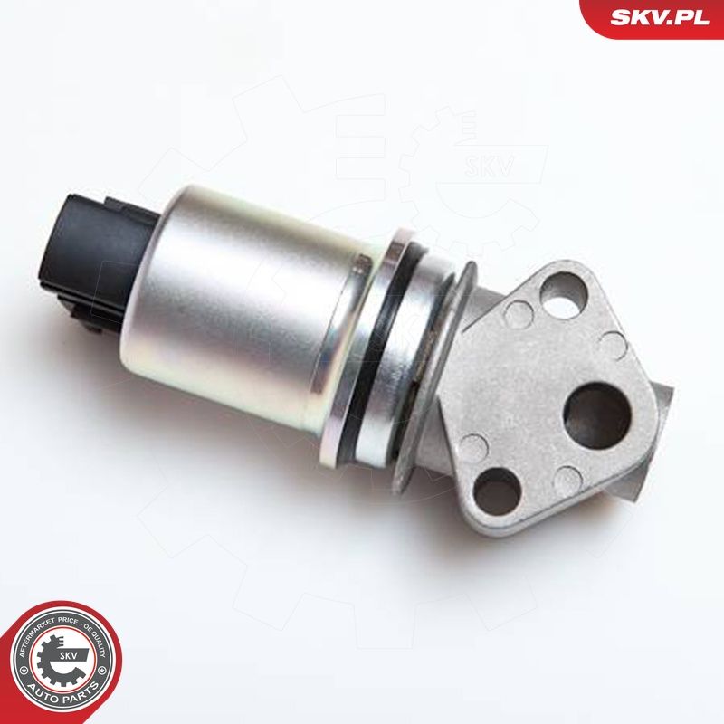 EGR-klapp, ESEN SKV 14SKV029