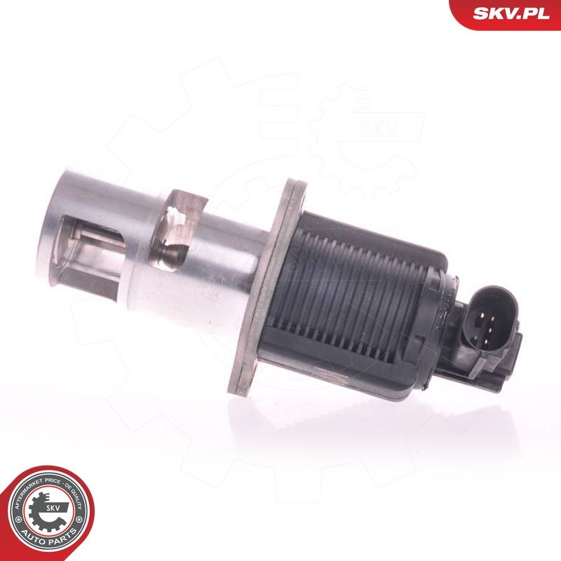 EGR-klapp, ESEN SKV 14SKV011