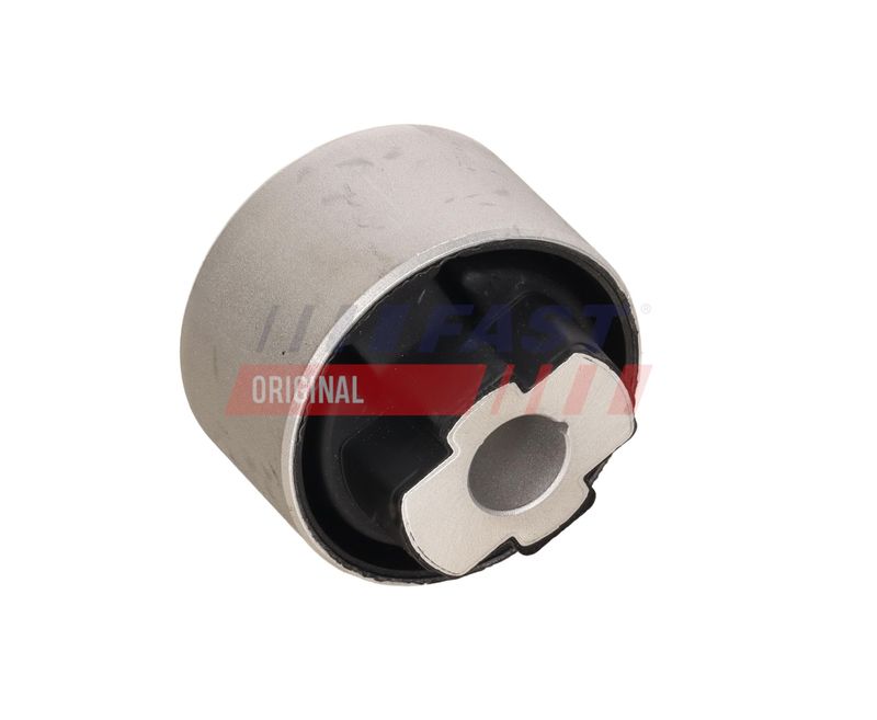 Puks, FAST FT18384