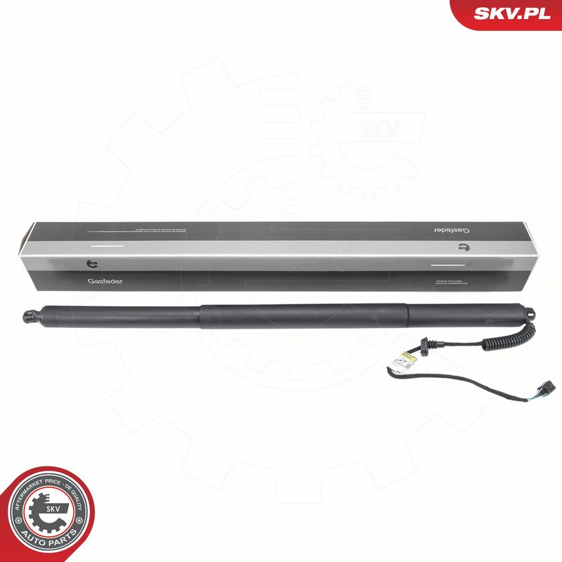 Elektrimootor, tagaluuk, ESEN SKV 52SKV196