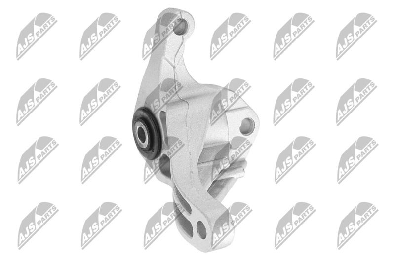 Paigutus, Mootor, NTY ZPS-FR-049