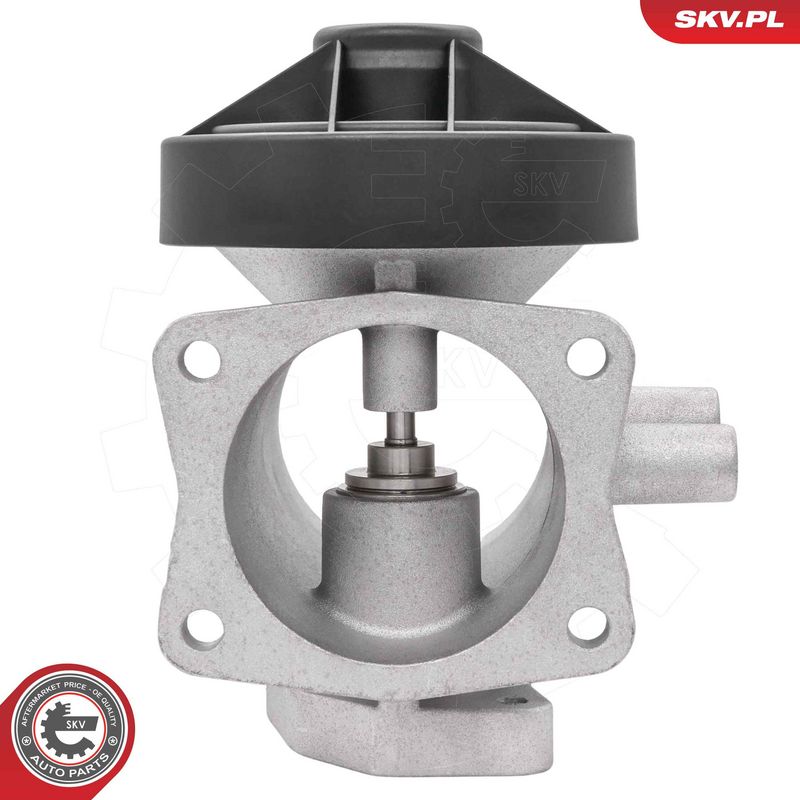 EGR-klapp, ESEN SKV 14SKV298