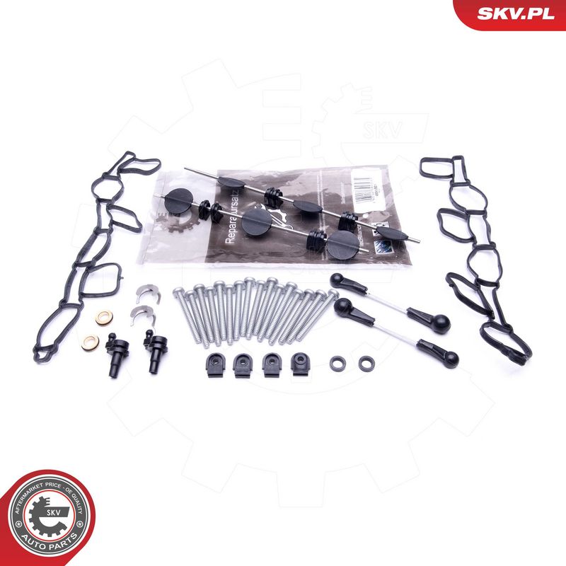 Remondikomplekt, imitoru moodul, ESEN SKV 49SKV501