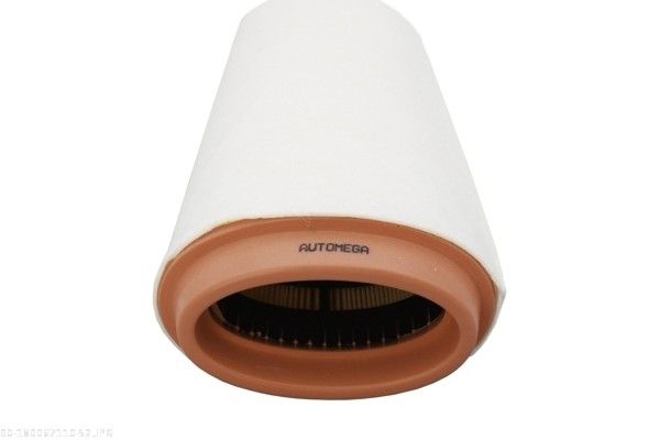 AUTOMEGA 180067110 Air Filter