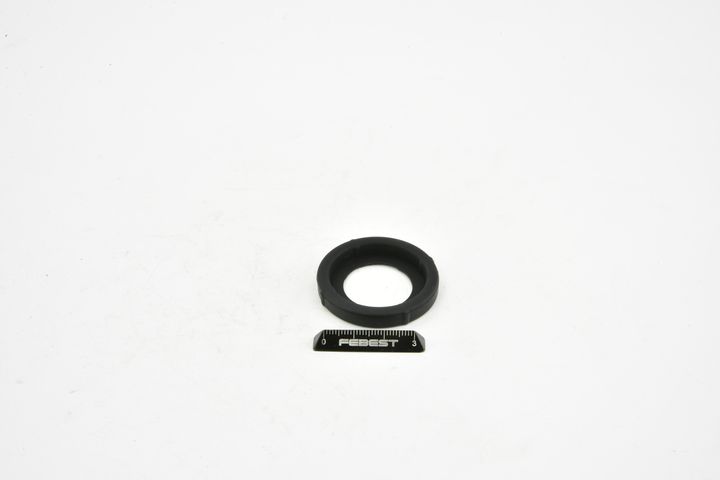 FEBEST HCP-004