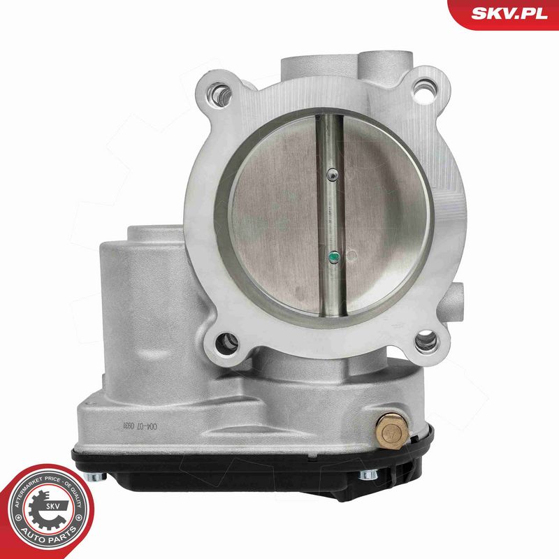 ESEN SKV 12SKV195 Throttle Body