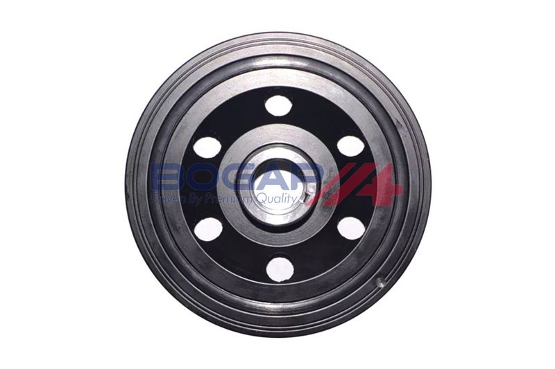 Damper para Correa Poly V BOGAP C1213124