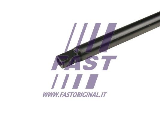 FT20192_2_1.JPG