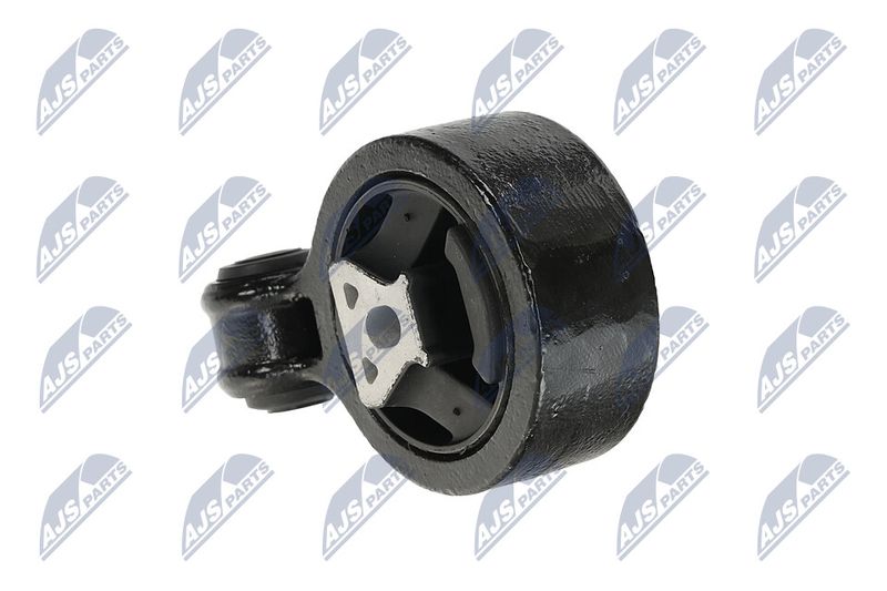 Paigutus, Mootor, NTY ZPS-CH-137