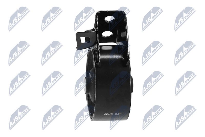 Paigutus, Mootor, NTY ZPS-NS-069