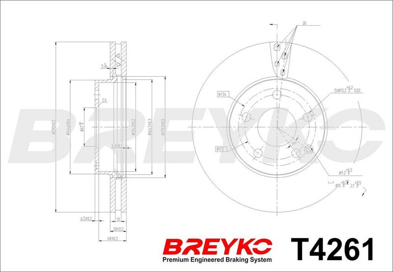 DAVID VASCO T4261 Гальмівний диск
