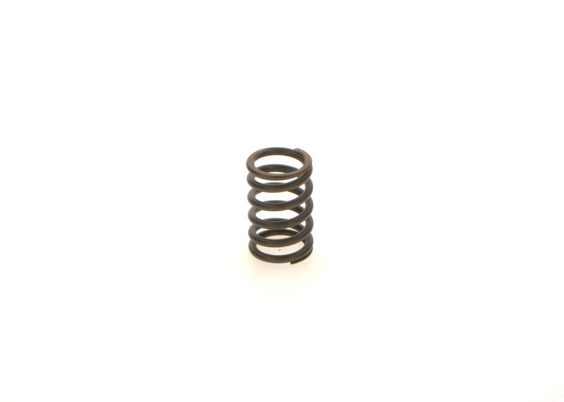 BOSCH 1414619025 Spring