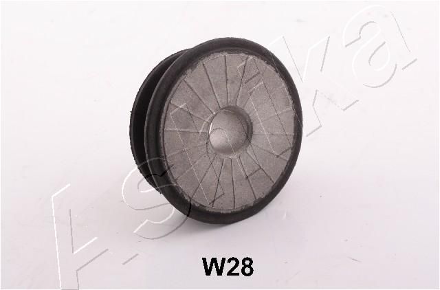 GOM-W28_1.JPG