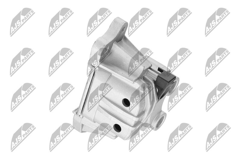 Paigutus, Mootor, NTY ZPS-CH-127