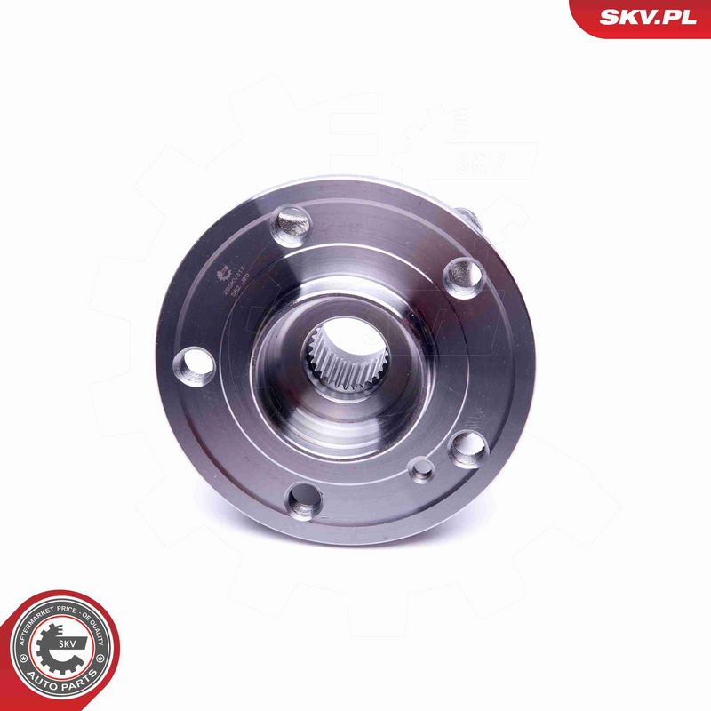 ESEN SKV 29SKV315 Wheel Bearing Kit