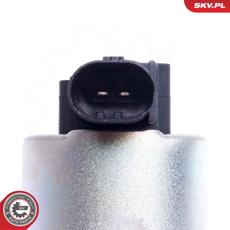 EGR-klapp, ESEN SKV 14SKV209