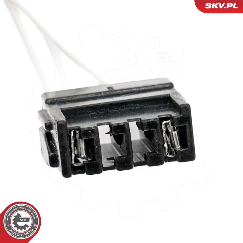 Roolilukk, ESEN SKV 65SKV223
