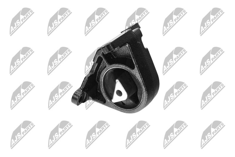 Paigutus, Mootor, NTY ZPS-CH-087