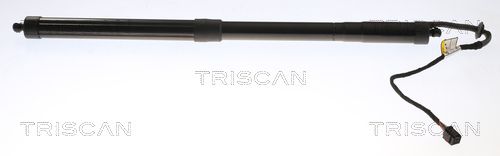 TRISCAN gázrugó, csomag-/poggyásztér 8710 17301