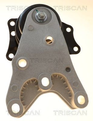 окачване, двигател TRISCAN