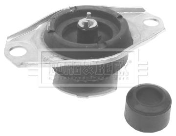 BEM3058_209917.JPG