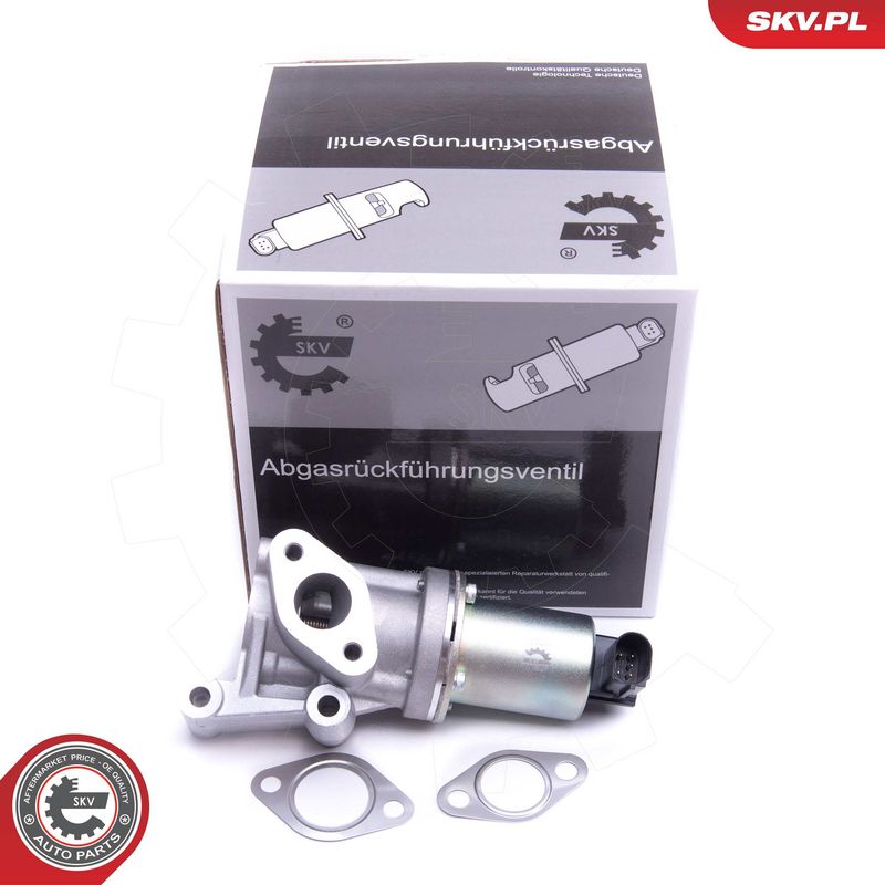 EGR-klapp, ESEN SKV 14SKV213