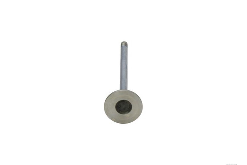 AUTOMEGA 130097110 Exhaust Valve