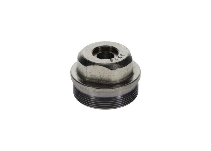 Surub F 002 D13 576 BOSCH