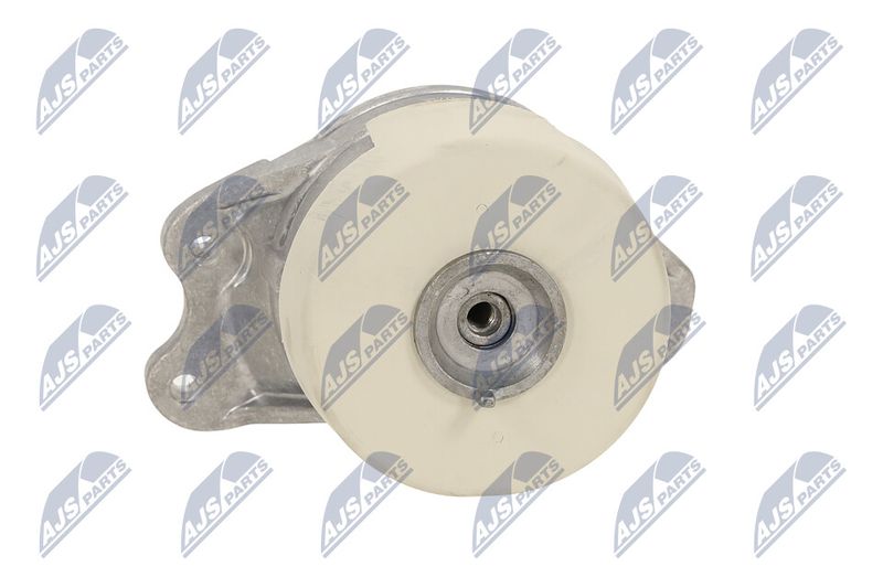 Paigutus, Mootor, NTY ZPS-ME-079