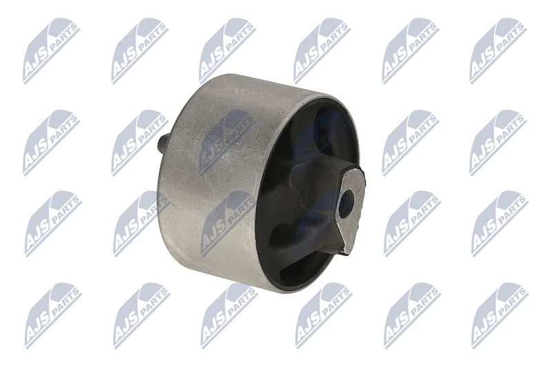 Paigutus, Mootor, NTY ZPS-CH-040