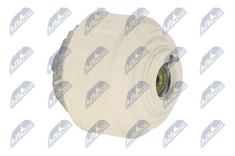 Paigutus, Mootor, NTY ZPS-ME-108