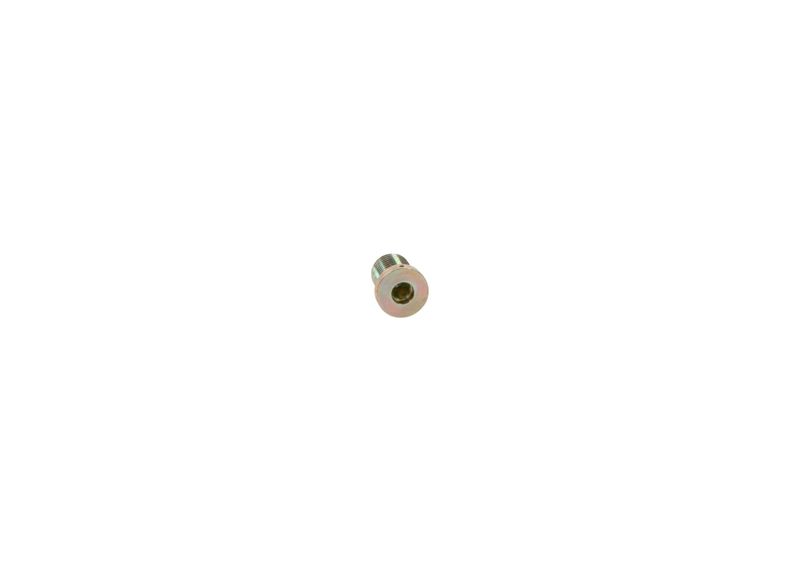 BOSCH 2413462020 Screw