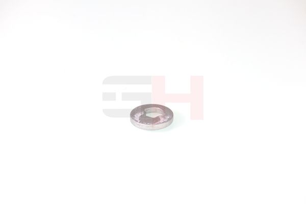 caster shim, sillatala, GH GH-391582