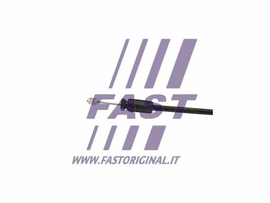 FT73710_3_1.JPG
