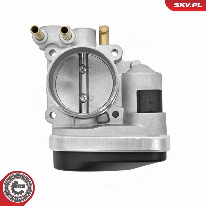 ESEN SKV 12SKV189 Throttle Body