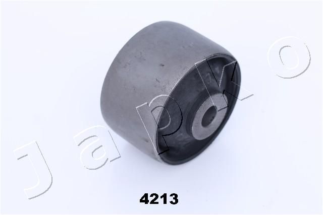 GOJ4213_1.JPG
