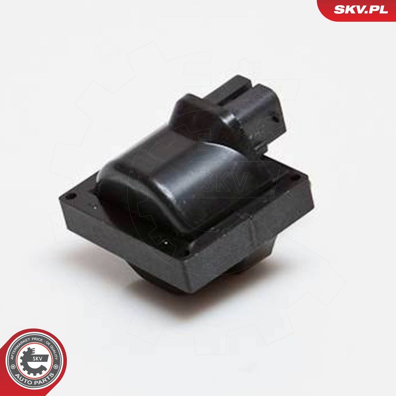 ESEN SKV 03SKV150 Ignition Coil
