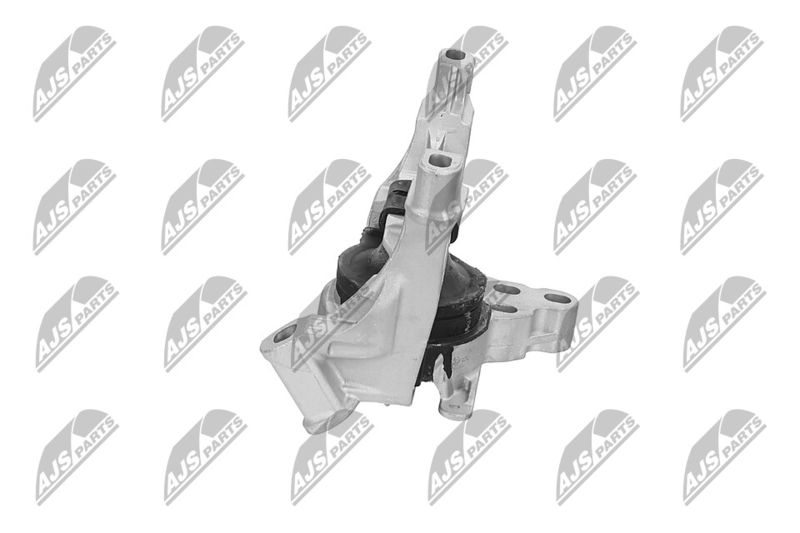 Paigutus, Mootor, NTY ZPS-MZ-071