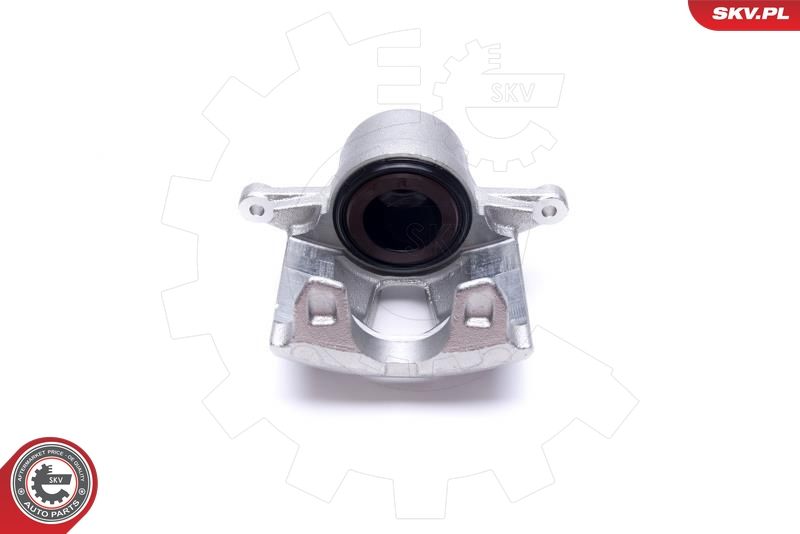 ESEN SKV 50SKV132 Brake Caliper