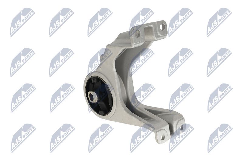 Paigutus, Mootor, NTY ZPS-CH-105