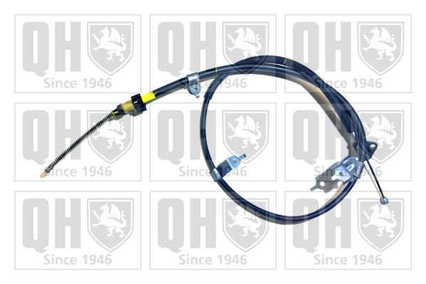 QH_BC3910.JPG