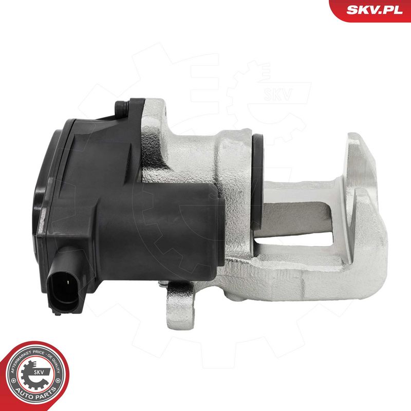 Pidurisadul, ESEN SKV 79SKV734