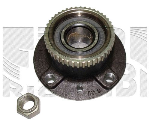 RK6041.JPG