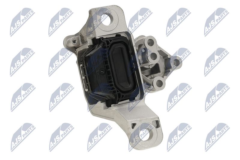 Paigutus, Mootor, NTY ZPS-FR-069