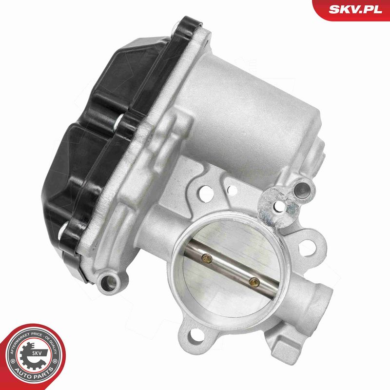 ESEN SKV 14SKV299 EGR Valve